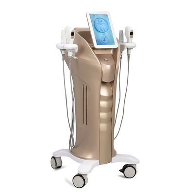 Güzellik Kliniği HIFU Yüz Yükseltme Makinesi Yaşlanmaya Karşı RF Yüz Yükseltme Makinesi
